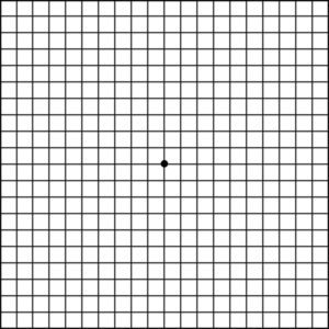 Eye Chart - 8.5 x 5.5, Amsler Grid Recording Pad